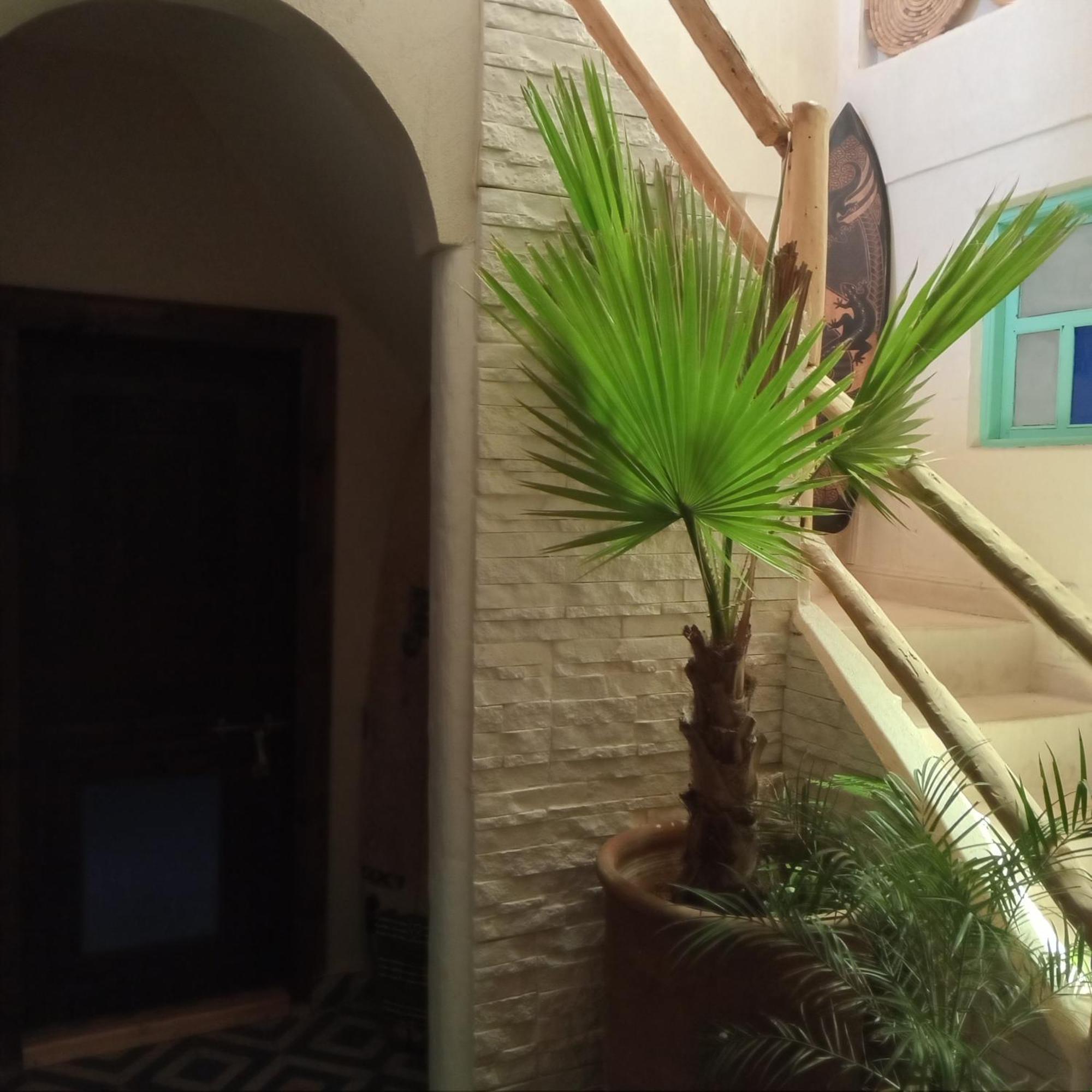 Moroccan Boho Surf House Agadir Eksteriør billede